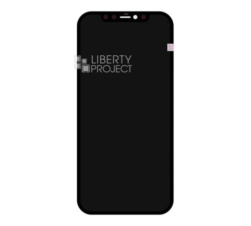 LCD дисплей для Apple iPhone 12/12 Pro матрица ZY In-Cell COF LTPS FHD (черный)