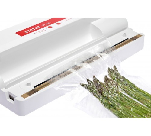 Вакуумный упаковщик STATUS BV 500