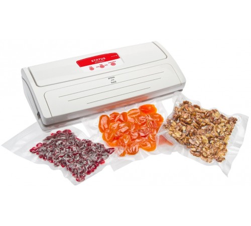 Вакуумный упаковщик STATUS HV 500