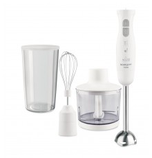 Миксер Scarlett SC-HB42F31