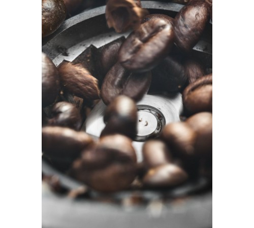 Кофемолка De'Longhi DEDIKA KG520.M